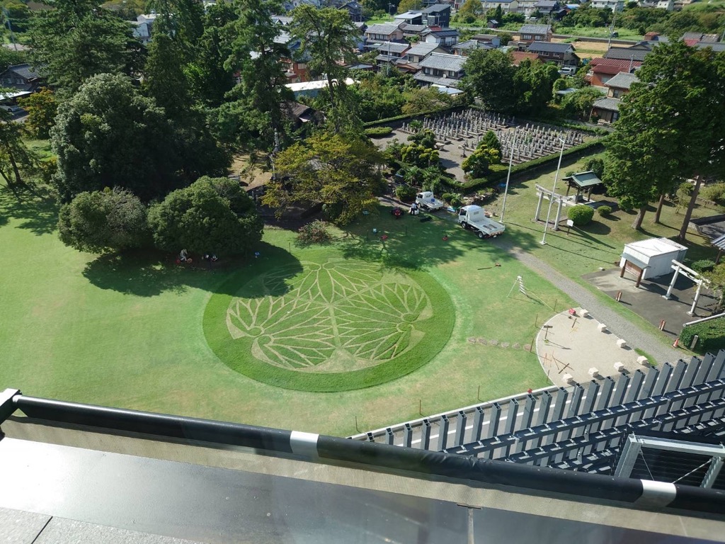 ※前回（令和5年）の芝生アート「三つ葉葵」