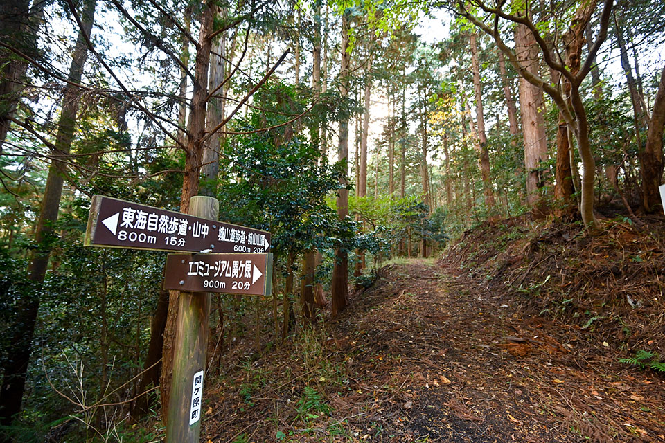 城山遊歩道　入口