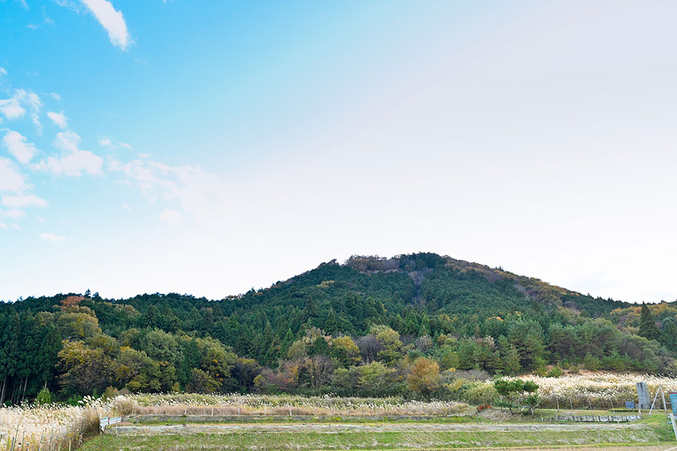 玉の城山全景