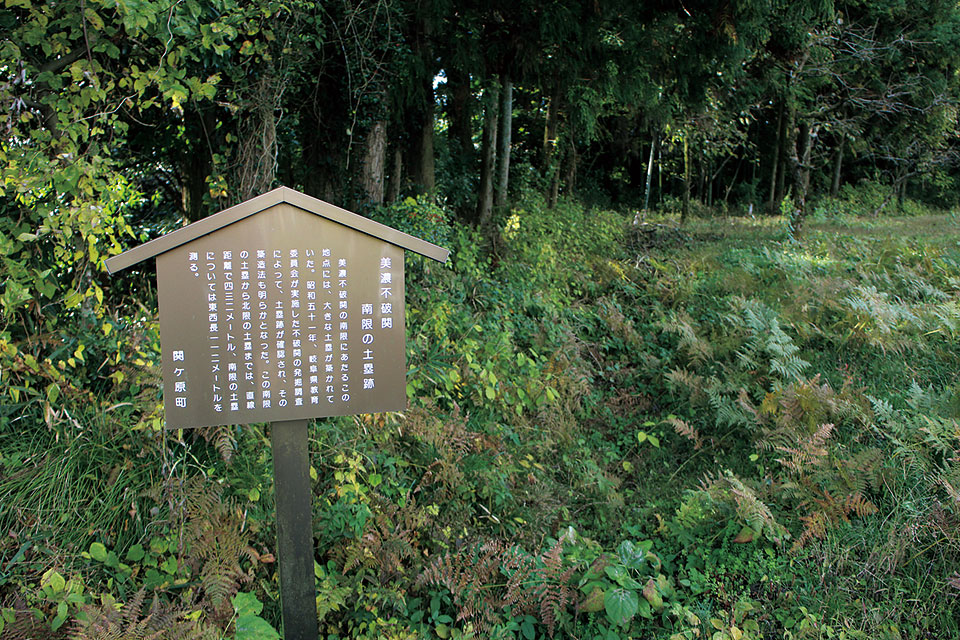 南限の土塁跡：今は茶畑が広がるのどかな場所に、大きな土塁が築かれていました。発掘調査によって南限の土塁跡も確認され、その製造法も明らかとなりました。南限の土塁の長さは東西112mを測ります。