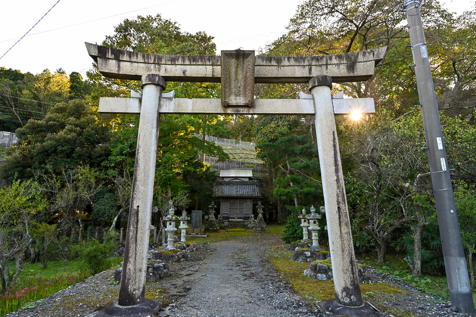 藤下の若宮八幡神社：本社の創建は定かではなく、「若宮八幡社御縁記」によると1320年に弘文天皇を祀り、1404年・1500年に社殿修繕したとあります。本殿は檜皮葺きの桃山様式で、貴重な建造物です。