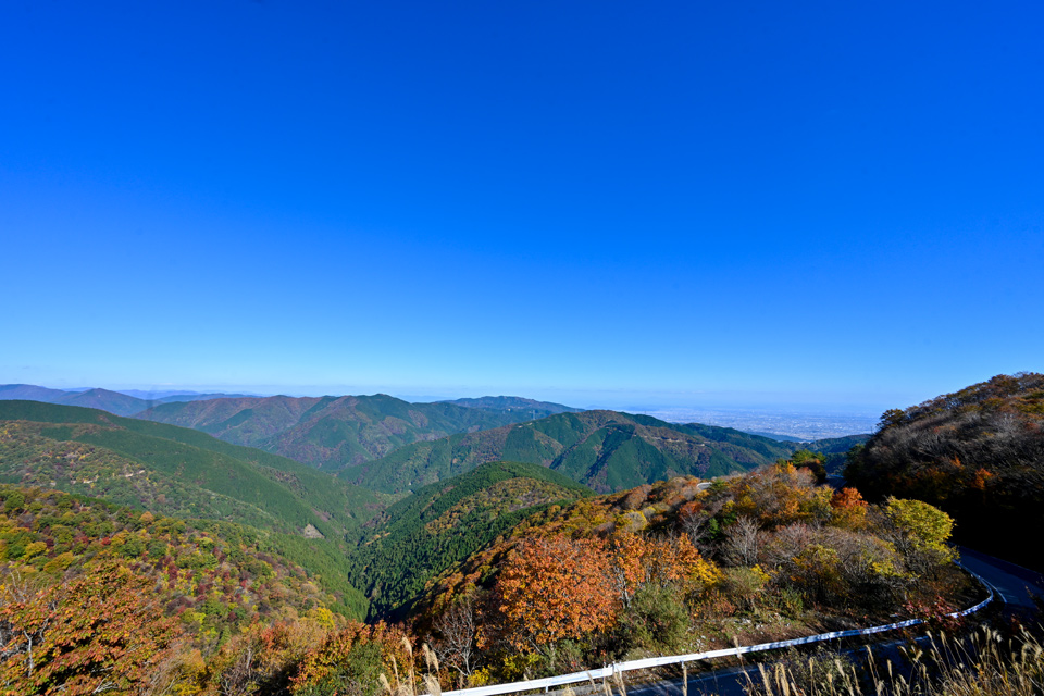伊吹山ドライブウェイ スポット情報 関ケ原観光ガイド 伊吹山ドライブウェイ スポット情報 関ケ原観光ガイド